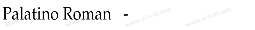 Palatino Roman 常规字体转换